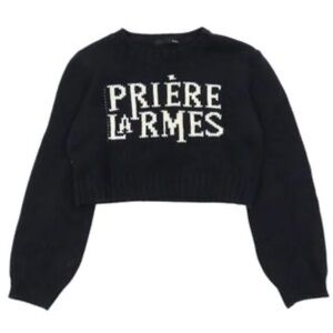 Hedlhr Cropped  Knit Sweater